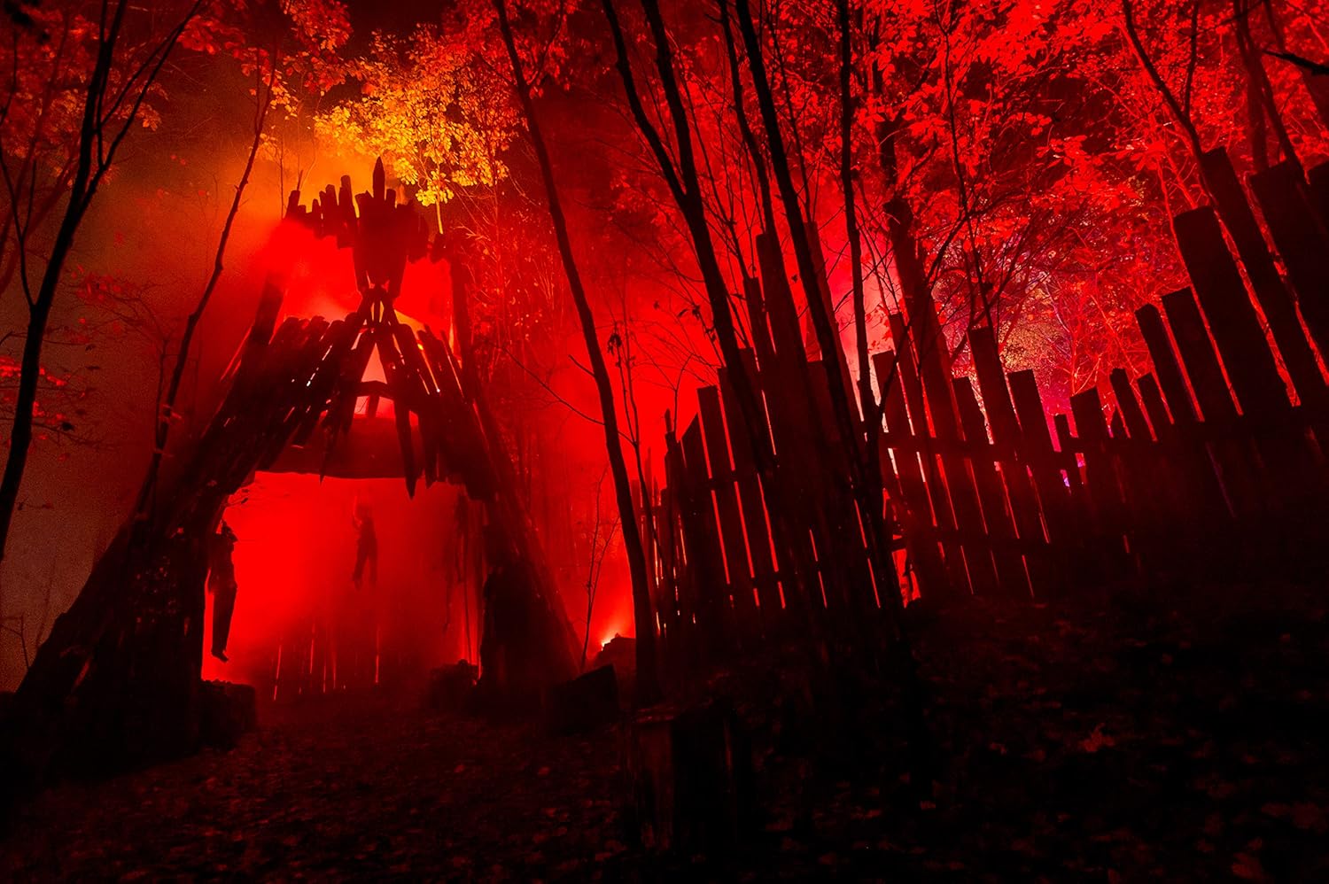 1 Gallon (128 Oz.) Great Party & DJ Fog Juice for Water Based Fog Machines - American Made - Perfect Fog Fluid for Small 400 Watt to Higher Wattage 1500 Watt Foggers: Musical Instruments