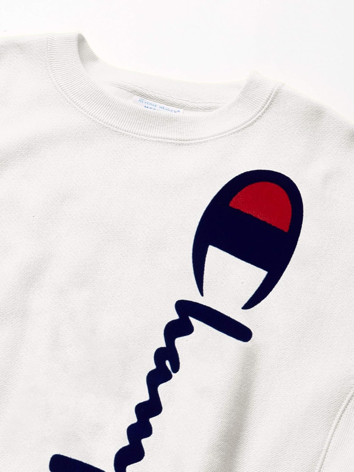 Champion LIFE Men's Reverse Weave Crew-Oversized Flock Script: Clothing