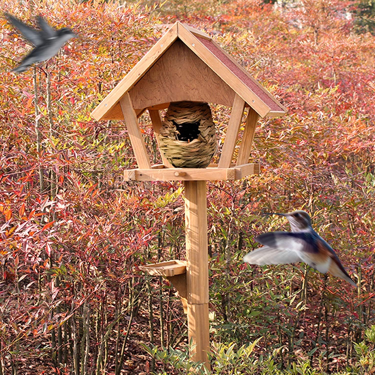 Gute Humming Bird Houses for Outside Hanging, Natural Grass Hanging Bird Hut, Hand Woven Hummingbird Nest, Large Wren Finch Bird House for Garden Window Outdoor Home Decoration, 3 Pack : Garden & Outdoor