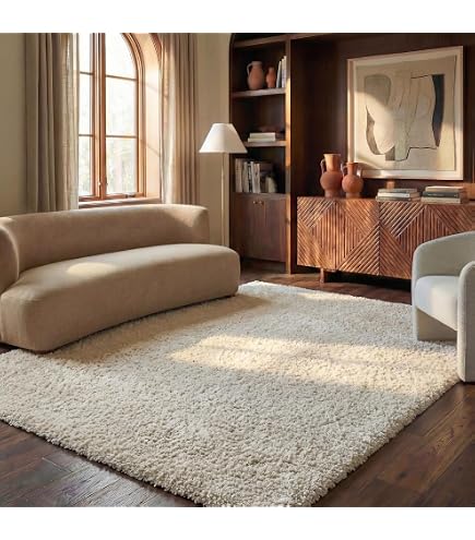 naptime ラウンドクッション OFFWHITE Amazon.com: nuLOOM 6' x 9' Cozy Plush SuperiorWash Area Rug