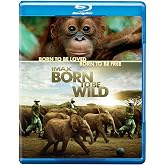 IMAX: Born to Be Wild [Blu-ray]