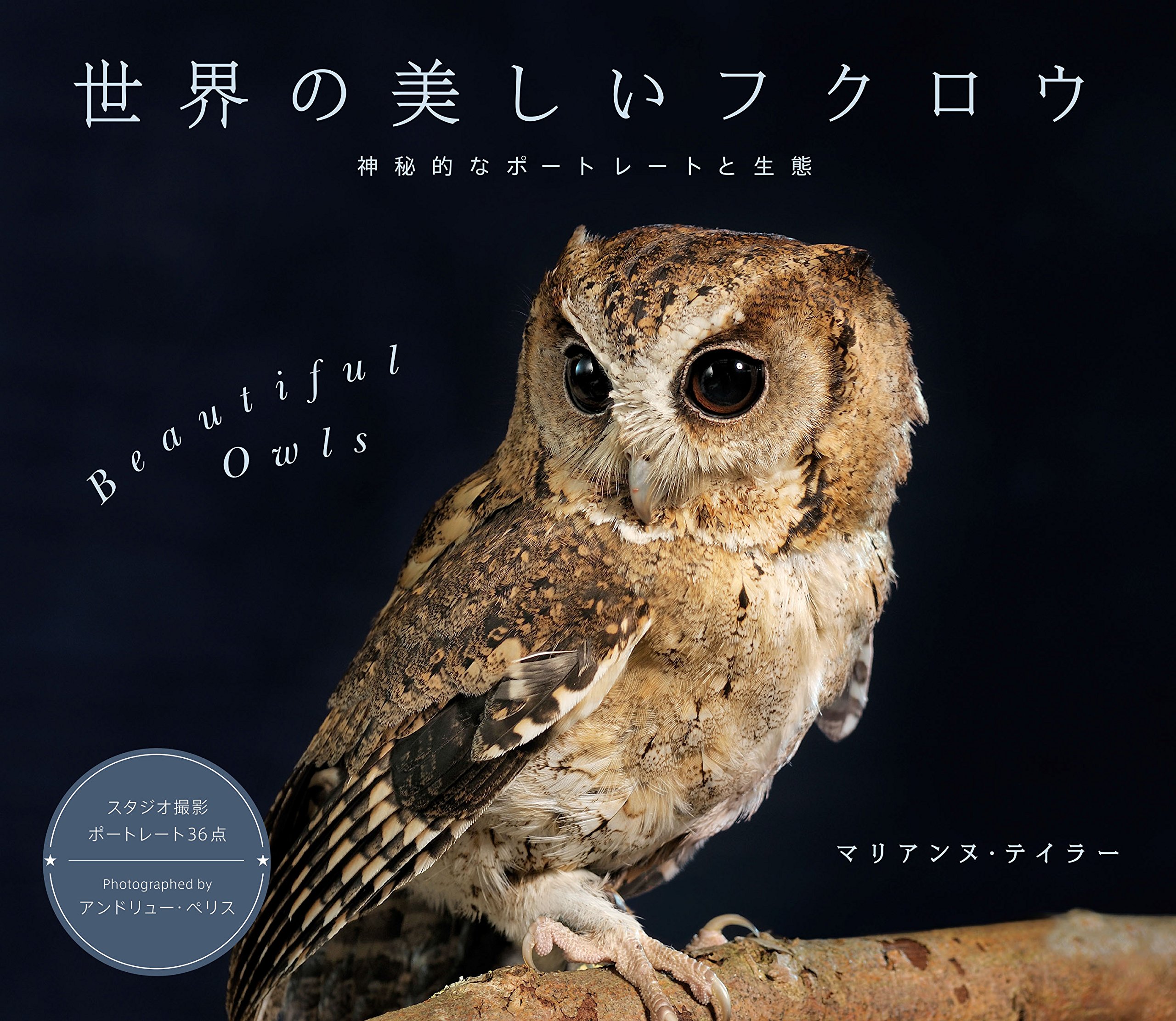 再値下げ カラフルな夜のフクロウ曼荼羅 フクロウ愛好家のギフト Colorful Night Owl Mandala Gift パーカー お買い求めしやすい価格 Diquinsa Com Mx