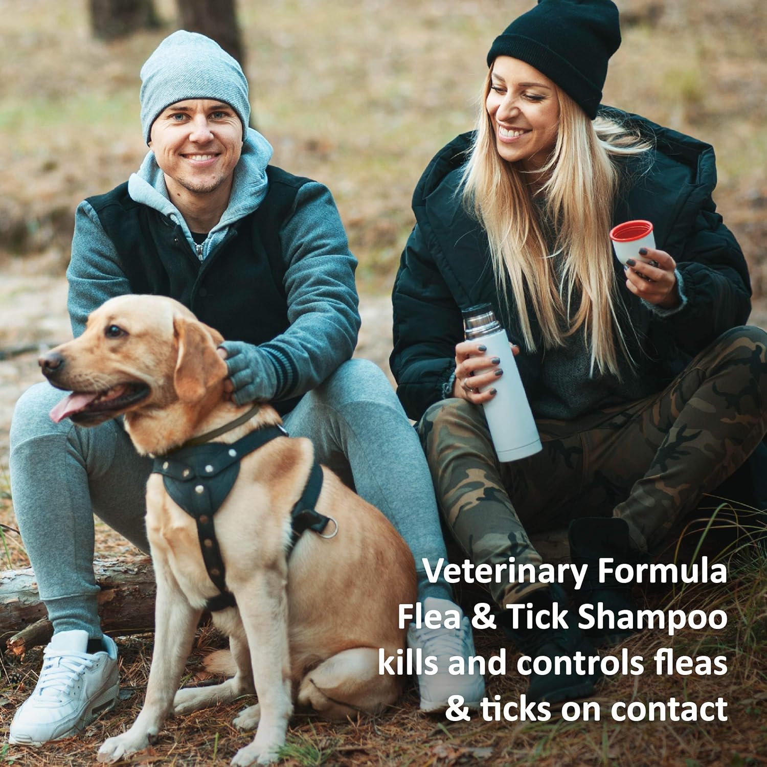 Reviews Veterinary Formula Clinical Care Flea and Tick Shampoo for Dogs