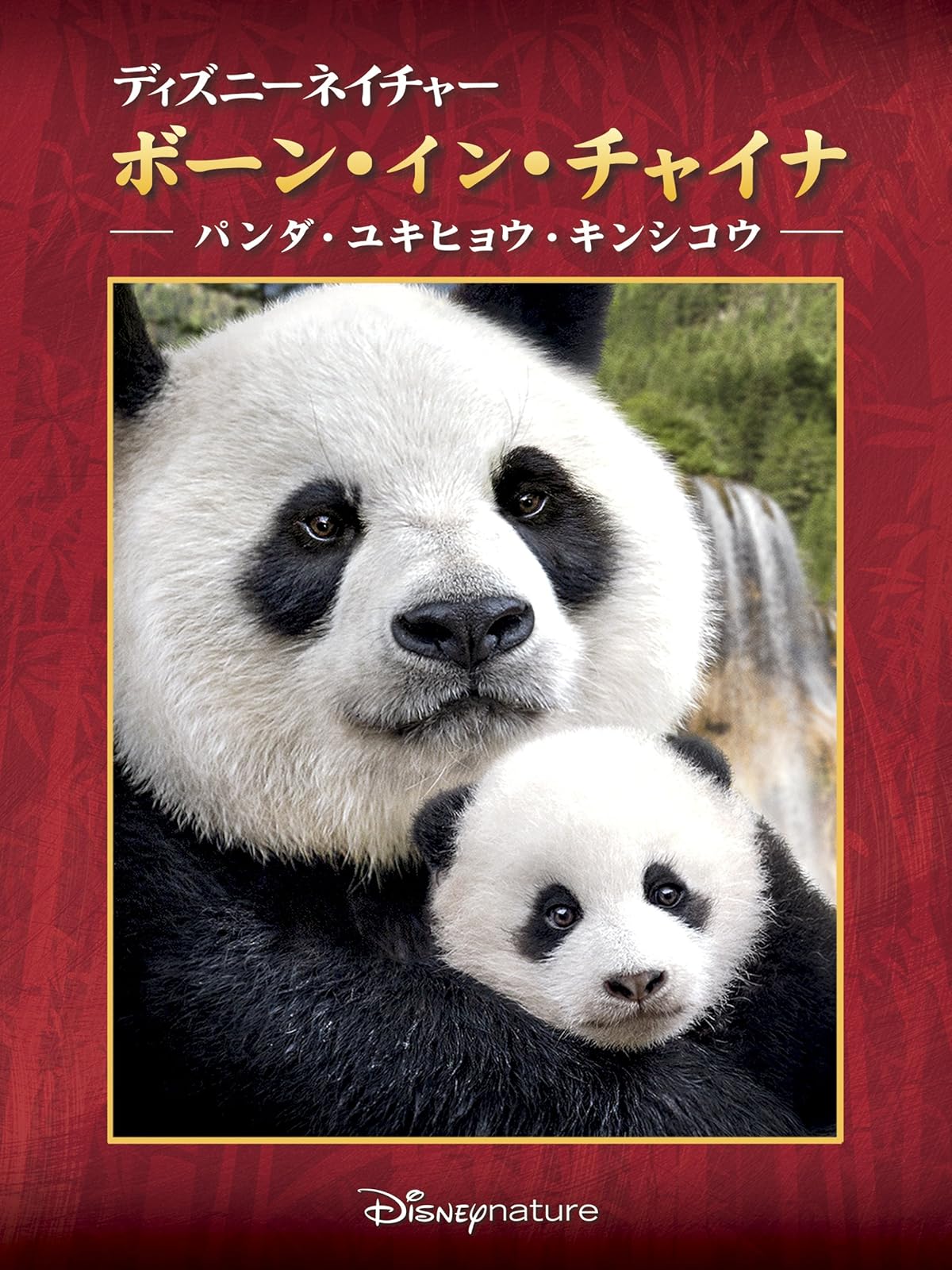 Amazon Co Jp ディズニーネイチャー チンパンジー 愛すべき大家族 字幕版 を観る Prime Video Amazon Co Jp ディズニーネイチャー チンパンジー 愛すべき大家族 字幕版 を観る Prime Video