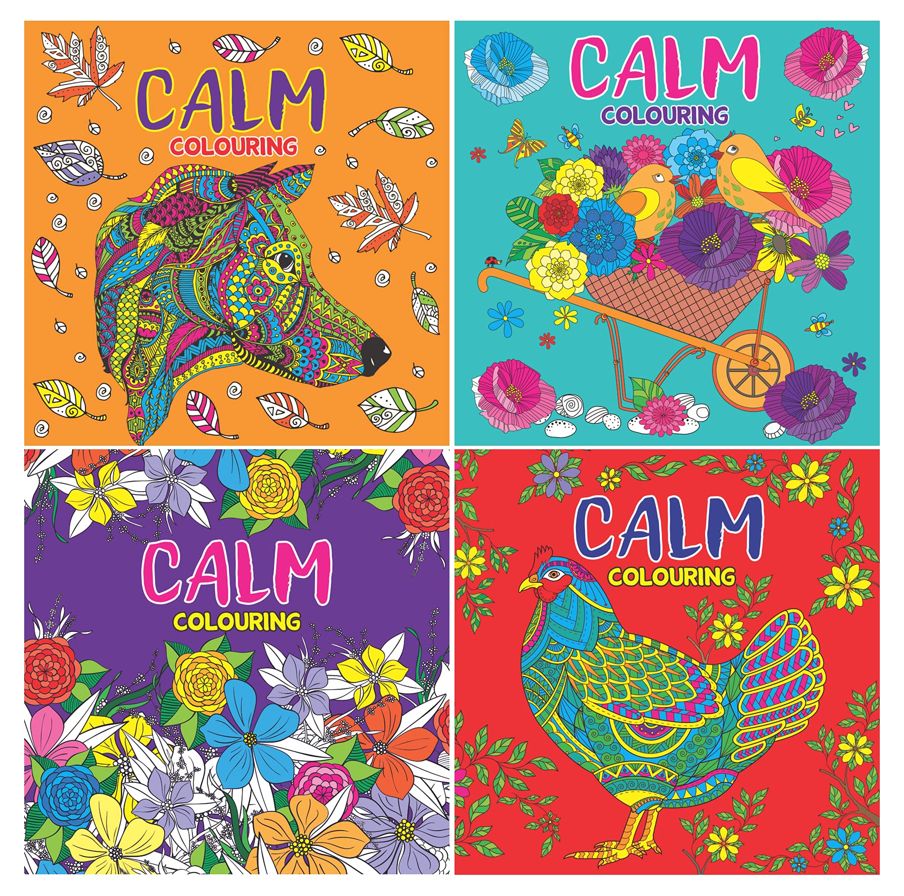 W.F. Graham CALM Relaxing Antistress Kids and Adult Colouring Books, 21x21cm, Set of 4 Coloring Books in Assorted Art Pattern Designs
