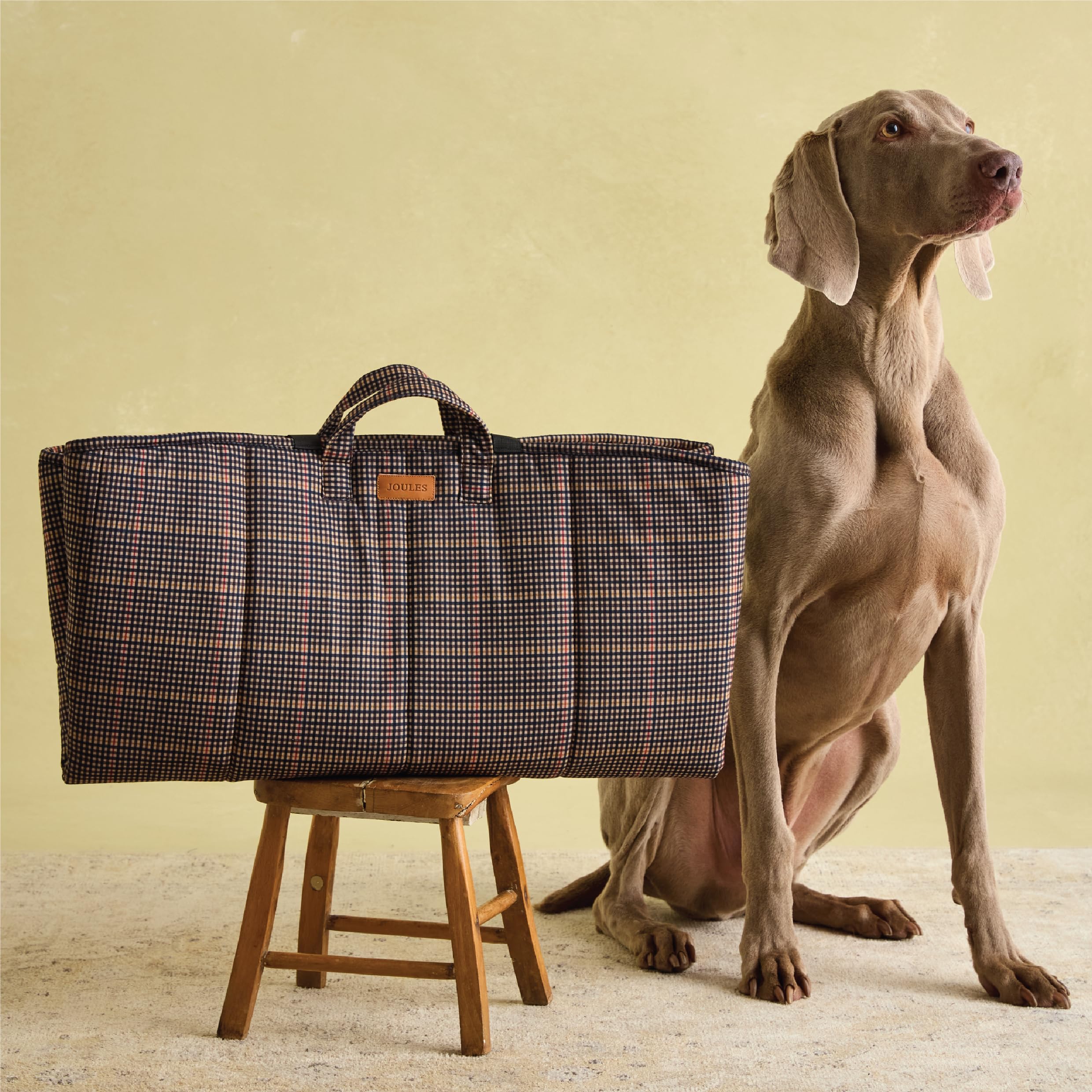 Rosewood x Joules Henson Check Travel Mat for Dogs, Portable Outdoor or Indoor Pet Mat for Travel and Adventures, Washable, 110 x 68 cm