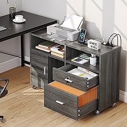 DWVO 2 Drawer File Cabinet with Charging