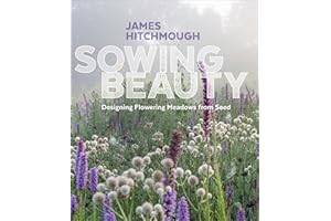 Sowing Beauty: Designing Flowering Meadows from Seed