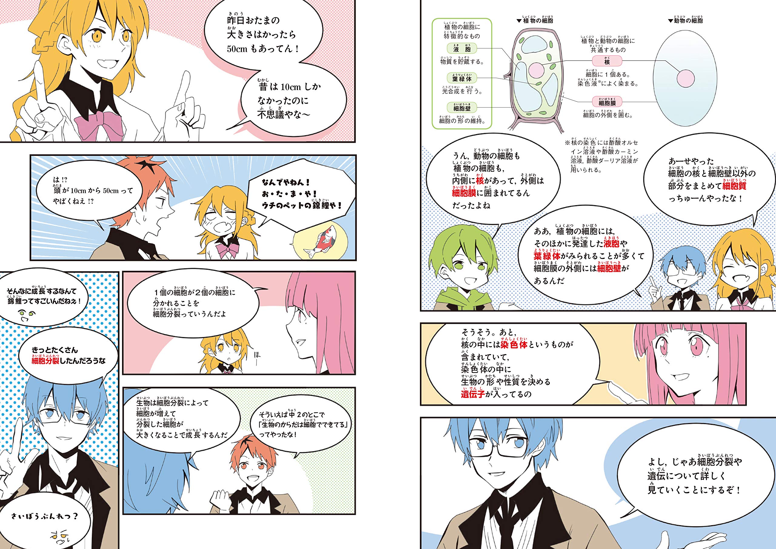 ゼッタイわかる 中3理科 Amazon Com Books