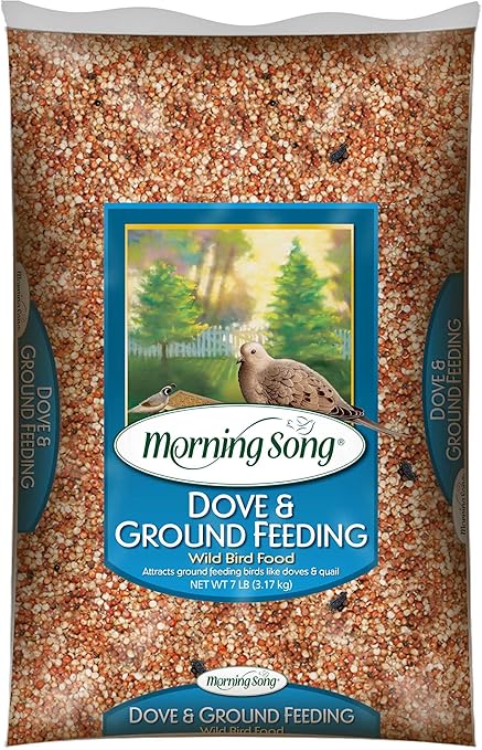 Amazon Com Morning Song 11974 Dove And Ground Feeding Wild Bird
