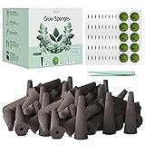 VERVYVINE 100 Pack Hydroponics Grow Sponges