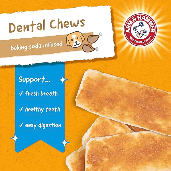 ARM & HAMMER FOR PETS RAWHIDE CHIPS FOR DOGS REAL DOG RAWHIDE CHEWS WITH CHICKEN COATING AND ARM AND HAMMER BAKING SODA ENHANCED FORMULA FOR FRESH DOG BREATH, DOG TREAT BAG SIZE LARGE (PACK OF 1)