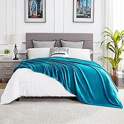 DREAMNINE Large Soft Fuzzy Flannel Fleece Throw