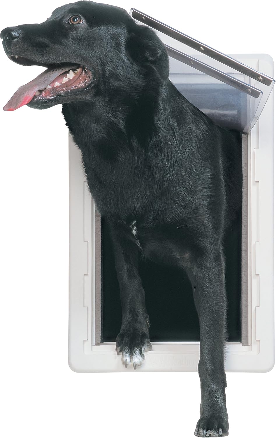 all weather dog door
