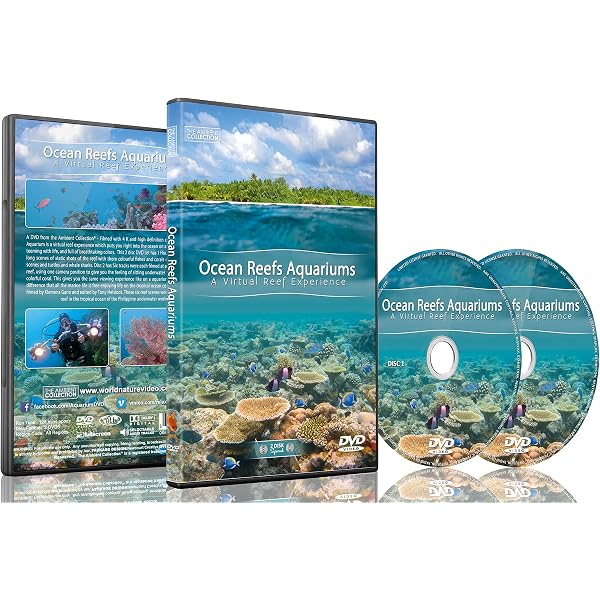 Amazon.com: Calming Aquarium DVD for Kids: Soothing Fish