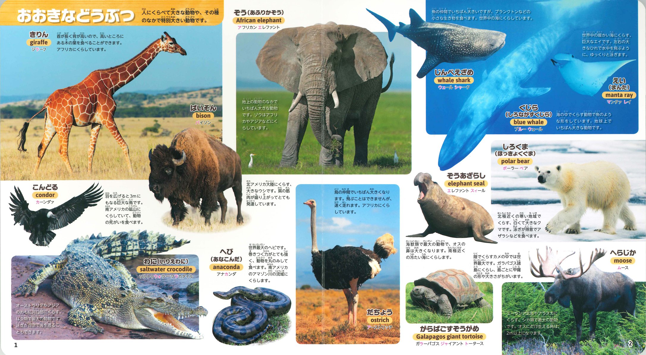 はじめてずかん どうぶつ な に 新宅 広二 本 通販 Amazon