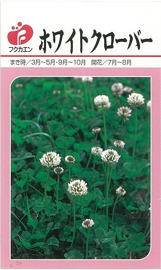 Amazon ホワイトクローバー種子 40ml詰 花