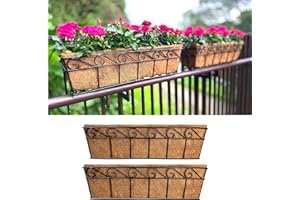LaLaGreen Large Window Flower Boxes (24 Inch, 2 Pack) Balcony Planter, Deck Railing Planters with Coco Liners Outdoor Wall Po