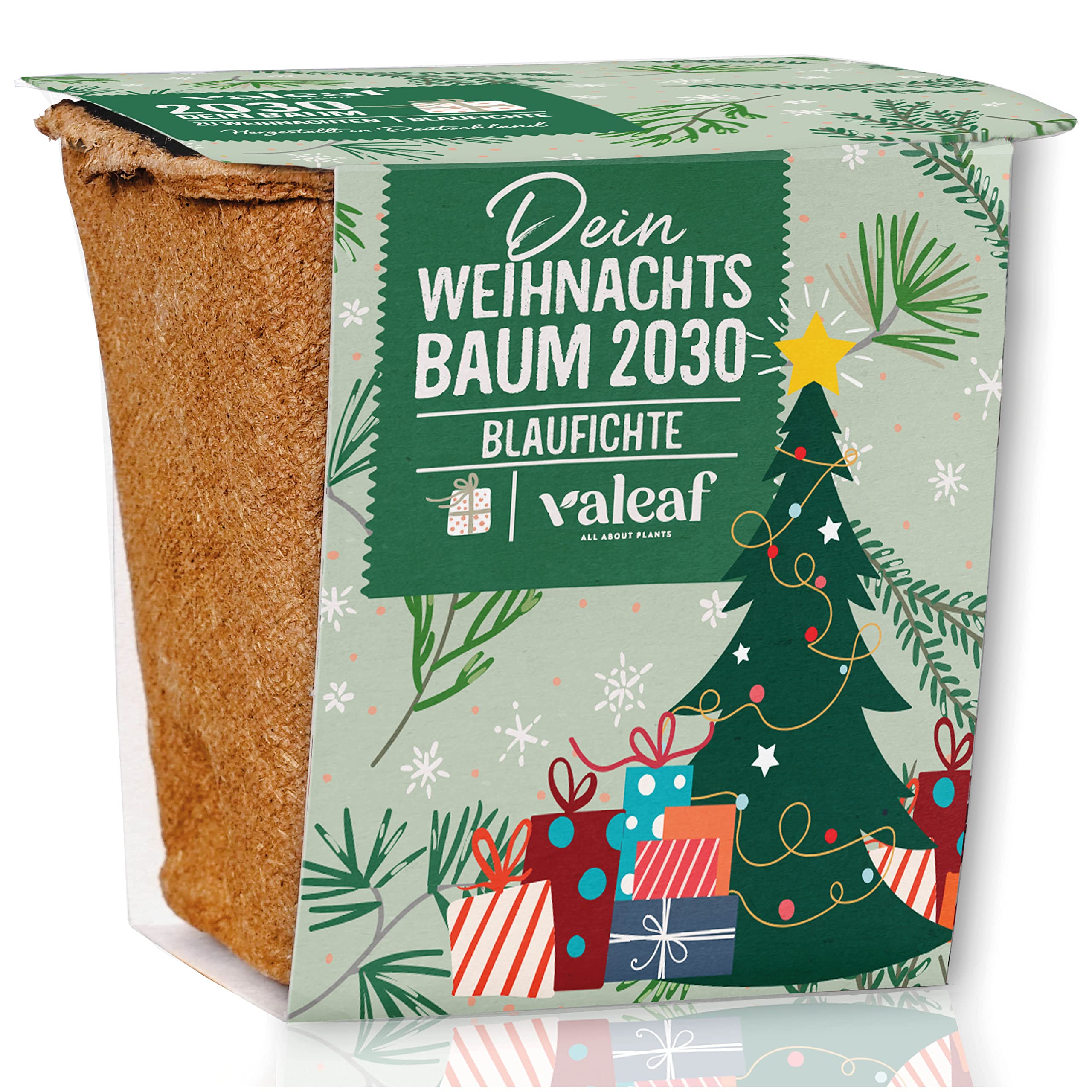 valeaf Christmas Tree Growing Set I Great Gift Idea, Secret Santa Gifts Christmas, Santa Gifts and Garden Gifts I Christmas Tree from a Tin I Plant Set Including Accessories