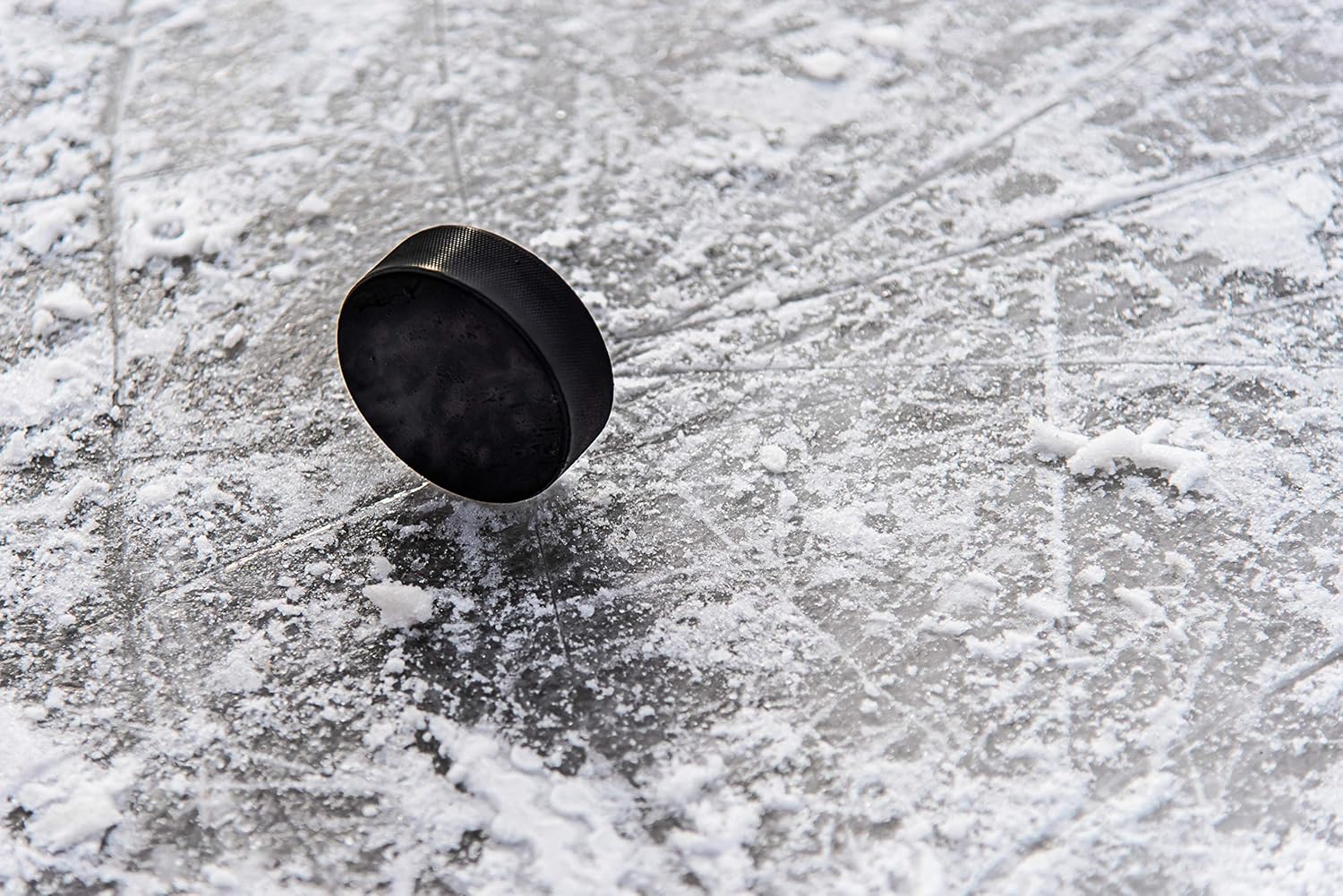 Ice Hockey Pucks | High Grade Pucks - Official Regulation Weight & Size for Practicing & Classic Training - 6-Ounce - Hockey Puck | Roller Hockey | Pond Hockey | Hockey Gift (1 Pack): Home Audio & Theater