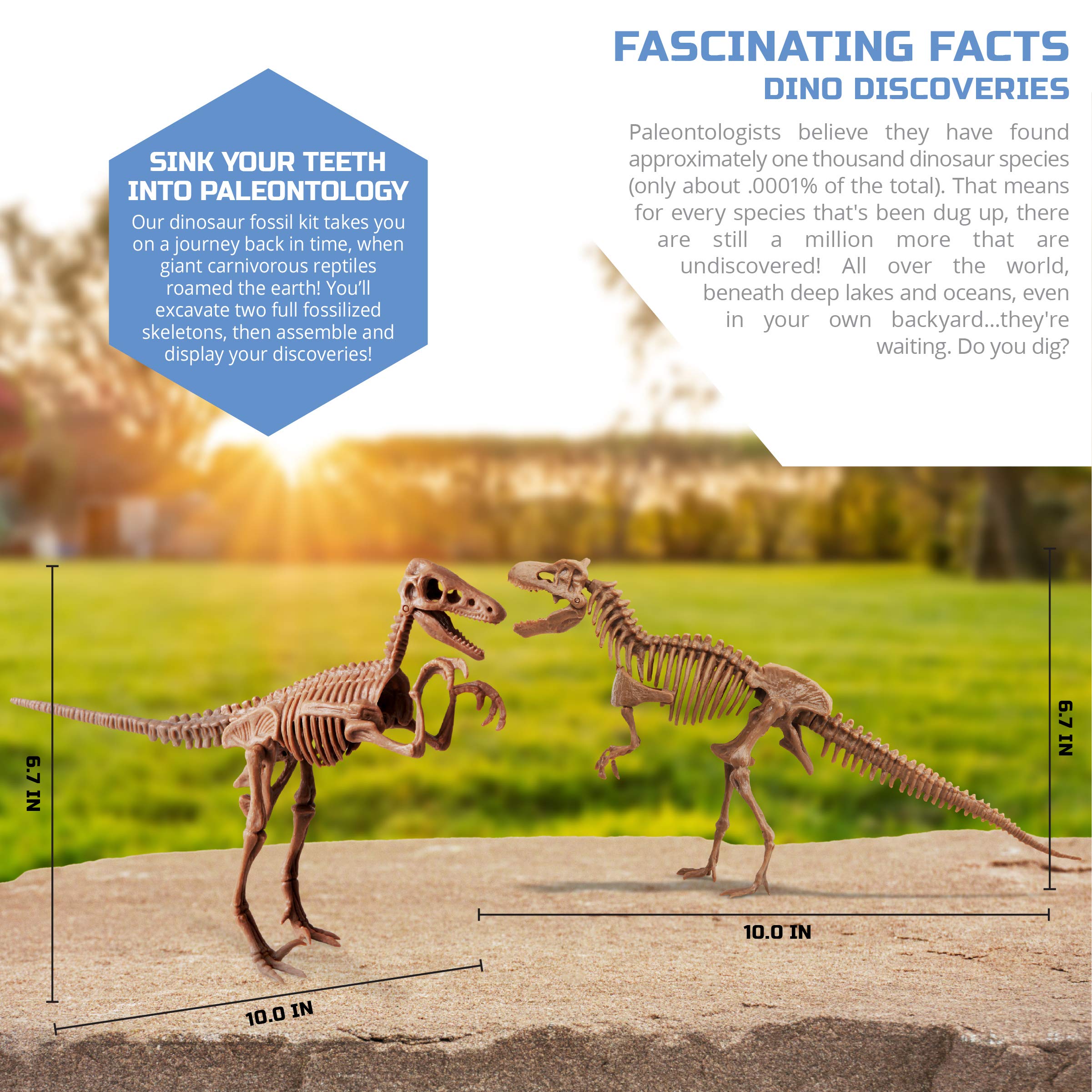 Discovery™ Dinosaur Fossil Dig Kit – Excavate & Assemble T-Rex & Velociraptor Skeletons| 3D Dino Bones Puzzles| Jurassic Paleontology Toy for Kids| STEM Science Activity Set| Girls & Boys Gift Ages 6+