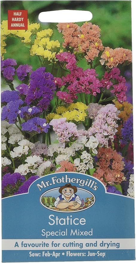 Mr Fothergill S 12673 Flower Seeds Statice Special Mixed Amazon Co Uk Garden Outdoors