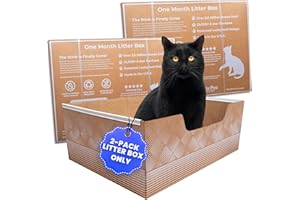 Leakproof Disposable 2-Pack Cat Litter Box Only - Made in The USA | Unmatched Odor Control | Recyclable — Kitty Poo Club