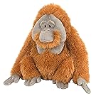 Wild Republic 12250 Orangutan Plush, Stuffed Animal, Cuddlekins; 12"