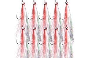 Clouser Minnow Fishing Flies, 10Pcs Streamer Fly Fishing Lure Hand Tied Flies Fishing Teaser Hook Lures for Flounder Salmon T