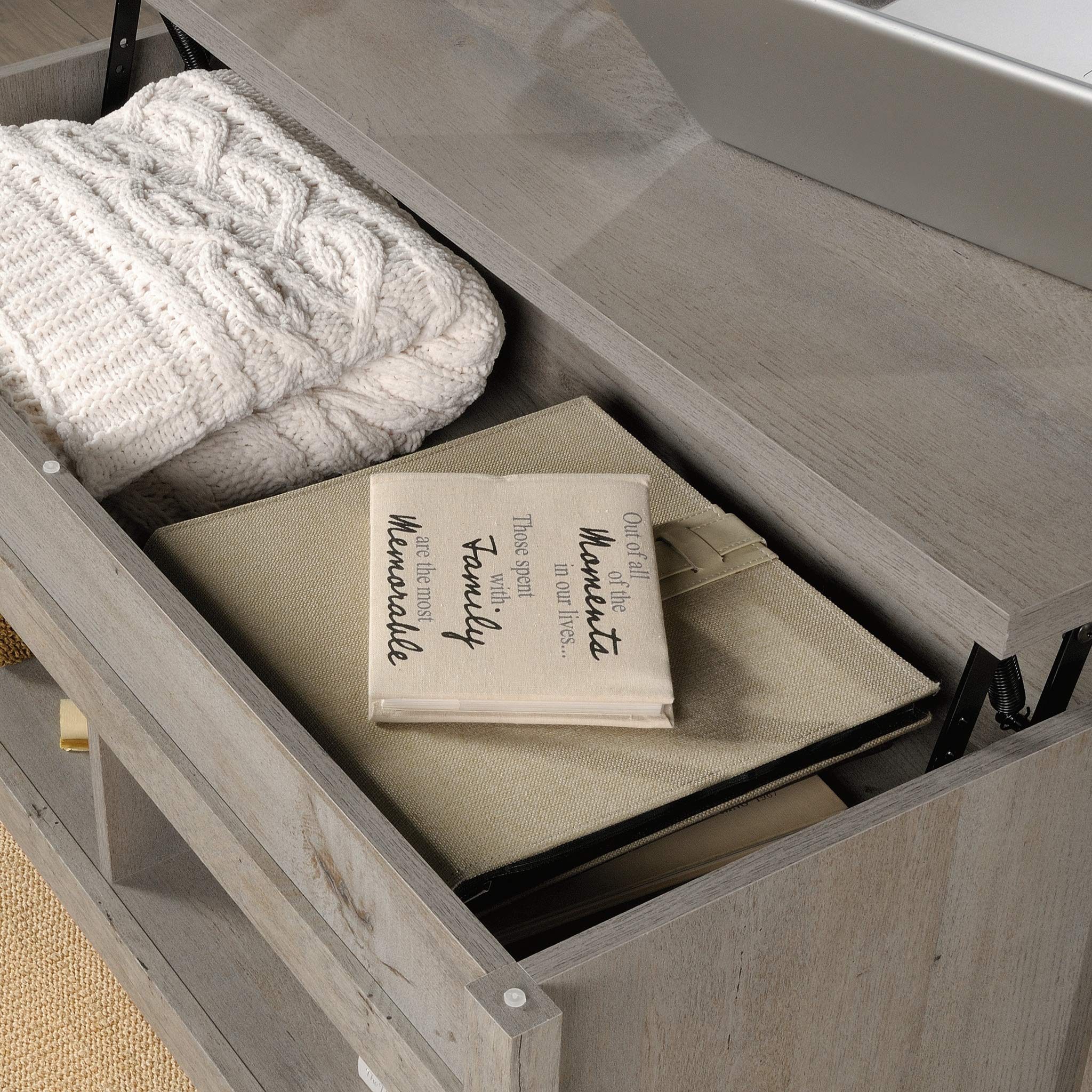 Sauder Cannery Bridge Lift Top Coffee Table, Mystic Oak finish