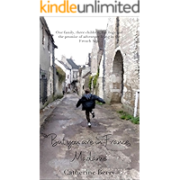 But you are in France, Madame: One family, three children, five bags and the promise of adventure living in the French… book cover