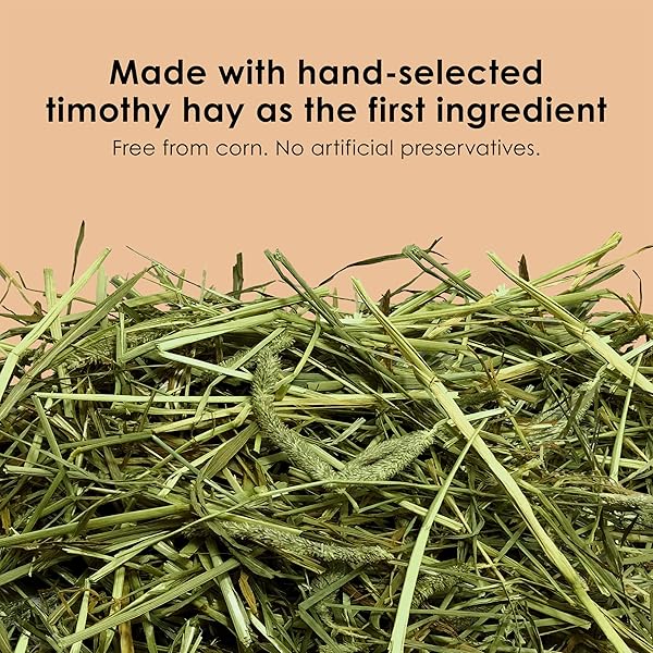 KAYTEE TIMOTHY COMPLETE GUINEA PIG FOOD, MADE WITH TIMOTHY HAY, HIGH IN FIBER, SUPPORTS DENTAL HEALTH AND DIGESTION, LONG-LASTING VITAMIN C, 9.5 POUNDS