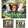 3D LiveLife Lenticular Wall Art Prints - Guinea Pigs from Deluxebase. Unframed 3D Pet Poster. Perfect wall decor. Original artwork licensed from renowned artist, David Penfound