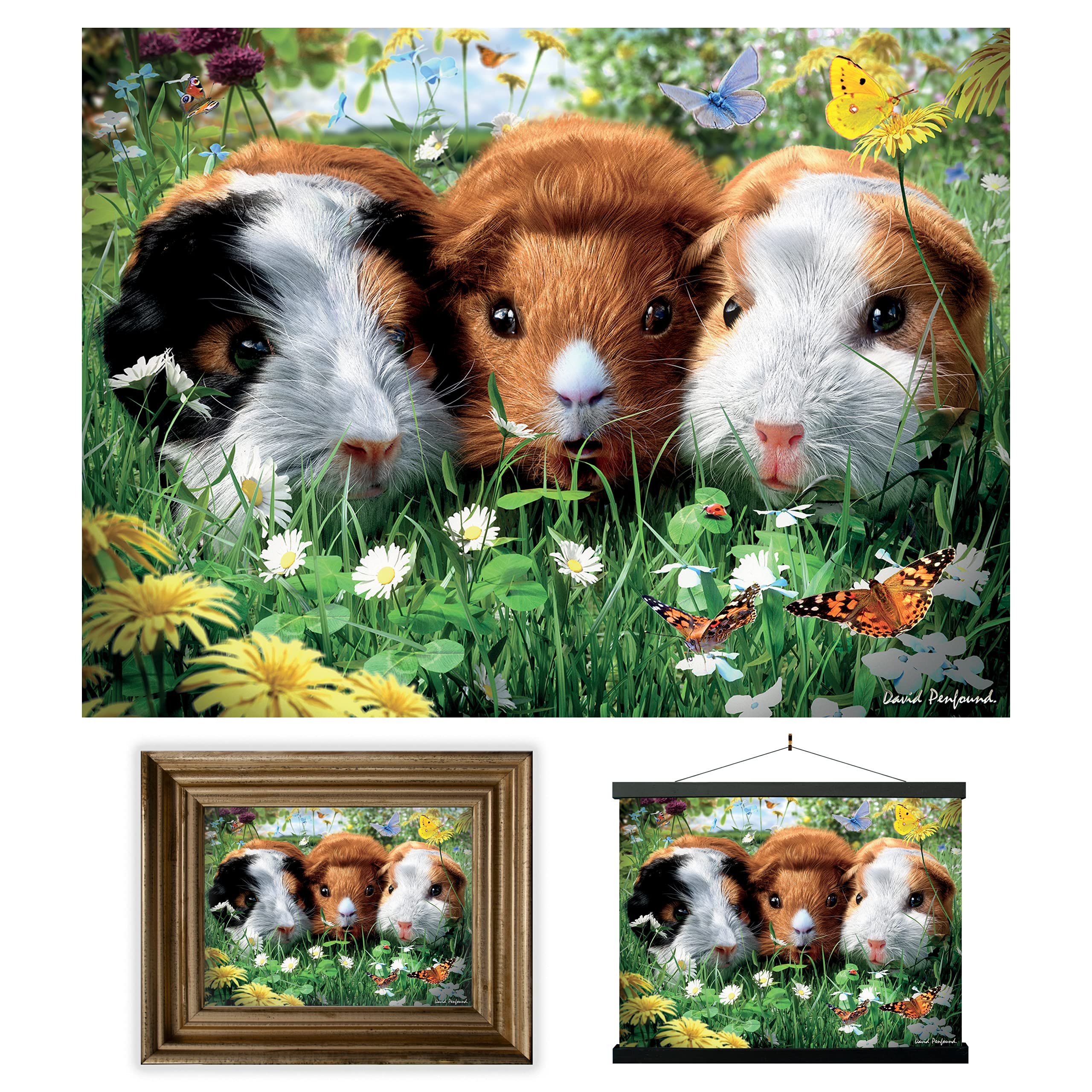 3D LiveLife Lenticular Wall Art Prints - Guinea Pigs from Deluxebase. Unframed 3D Pet Poster. A perfect wall filler. Original artwork licensed from renowned artist, David Penfound
