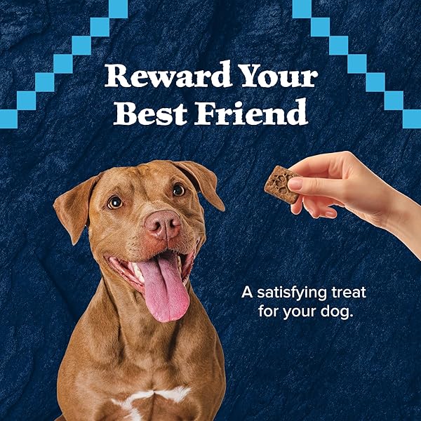 BLUE BUFFALO WILDERNESS TRAIL TREATS HIGH PROTEIN GRAIN FREE DOG BISCUITS CRUNCHY DOG TREATS, TURKEY RECIPE, 24-OZ BAG