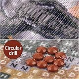 LJHOME 5D Diamond Painting Kit Full Drill Elephant Rhinestone Art Craft view 5