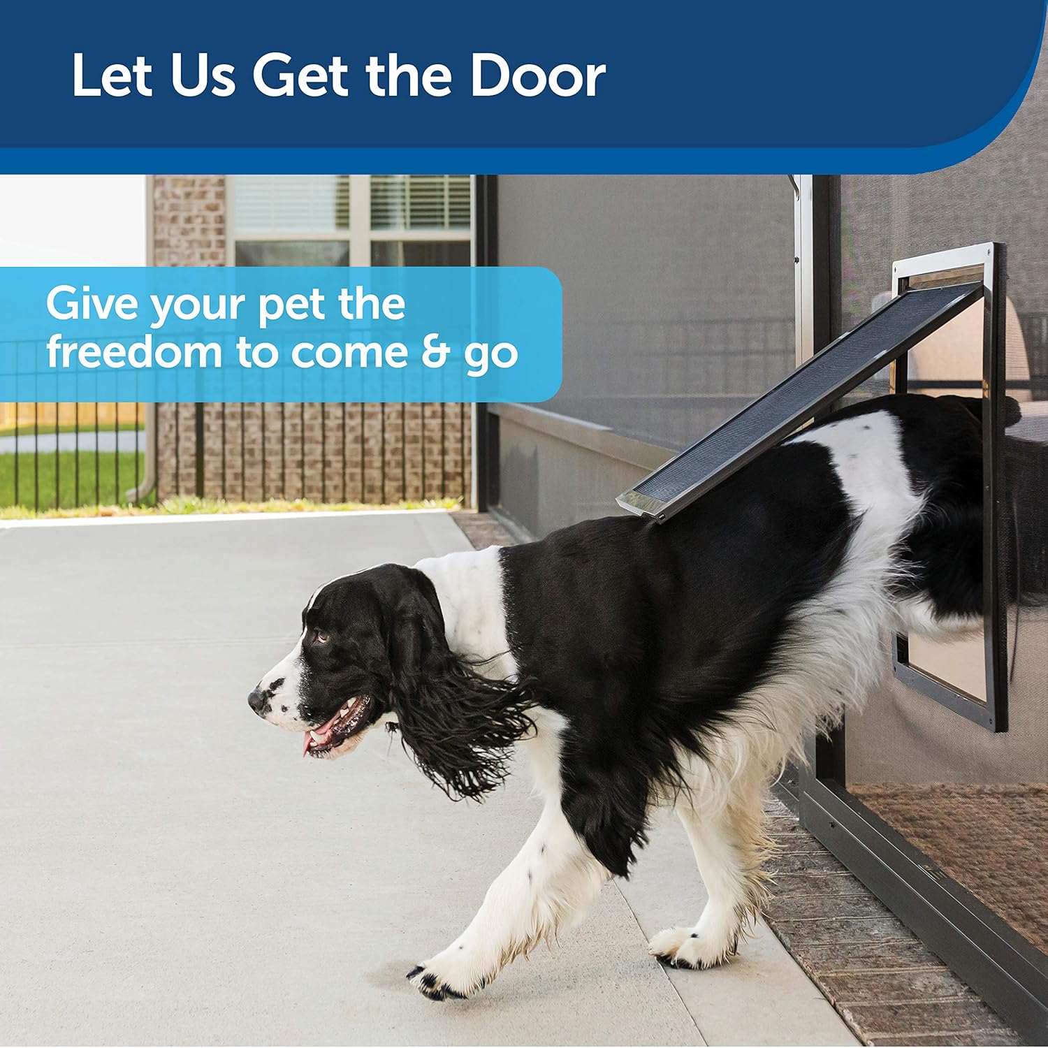 PetSafe Pet Screen Door - Dog and Cat Flap for Screen Door, Large, Window, Storm Door and Porch Use : Pet Supplies
