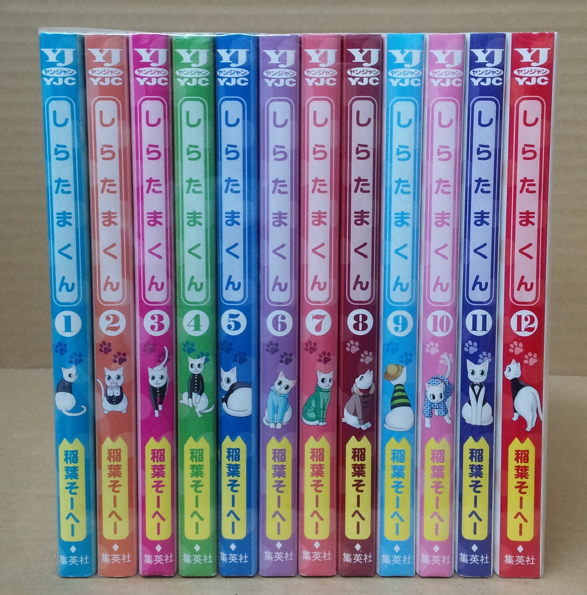 コミック しらたまくん 全１２巻 本 通販 Amazon