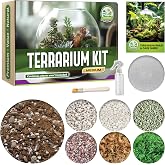 DUSPRO All-in-One DIY Terrarium Starter Kit, Terrarium Supplies (Medium) | Potting Soil, Pumice, Zeolite, Green Moss, Sphagnum Moss, Decorative Stone, Mesh, Tools &amp; Guide for Succulents &amp; Air Plants