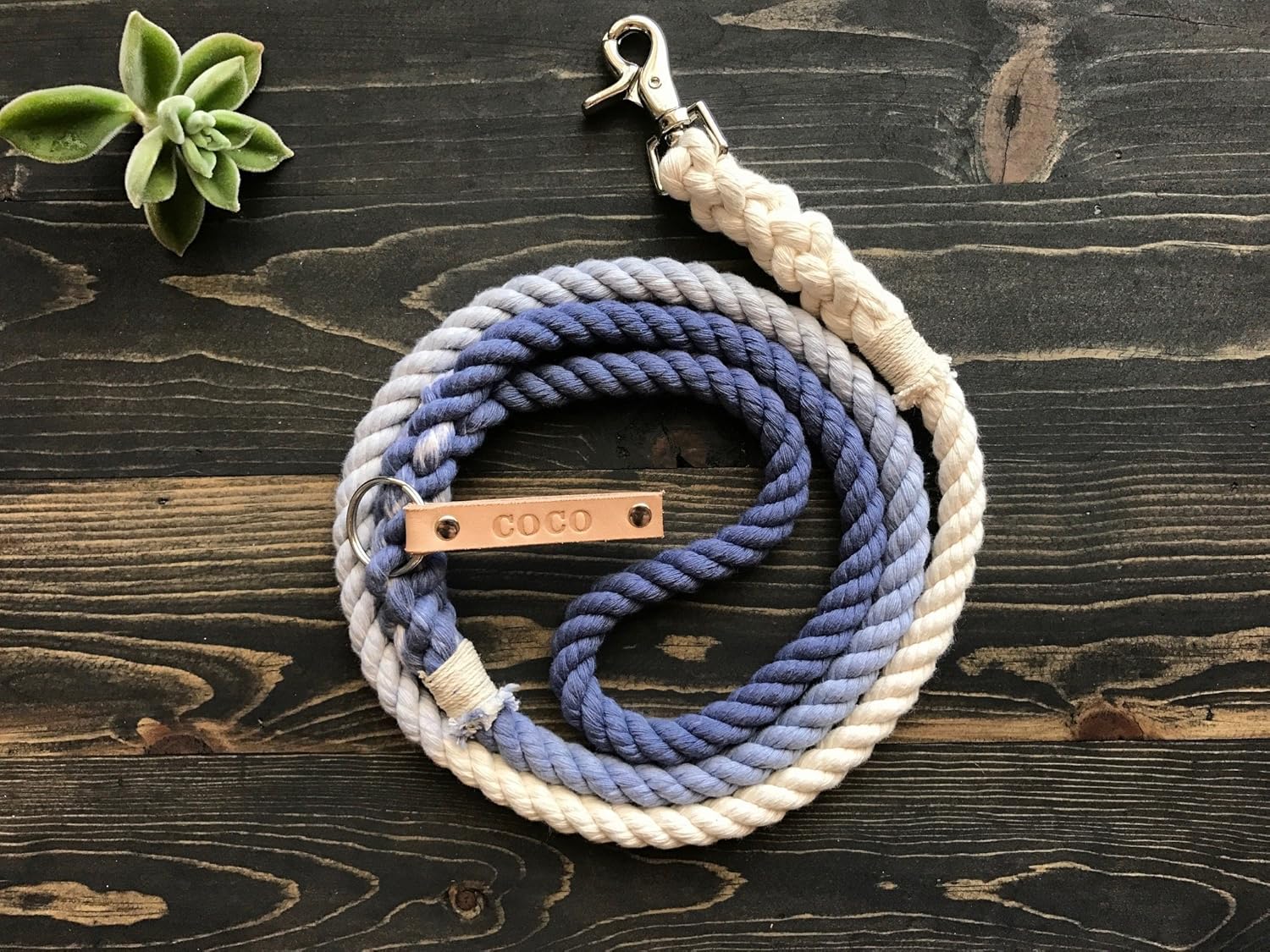 Amazon.com: Ombre Rope Dog Leash, FREE 