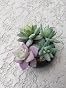18-Pack 6.69 In. Unpotted Artificial Succulents-Realistic Fake Cactus Plants For Home Office Garden Decor Wk1090