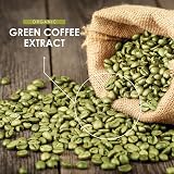 Alpha01 Organic Green Coffee Bean Extract 22,000mg 90 Vegan Capsules view 4