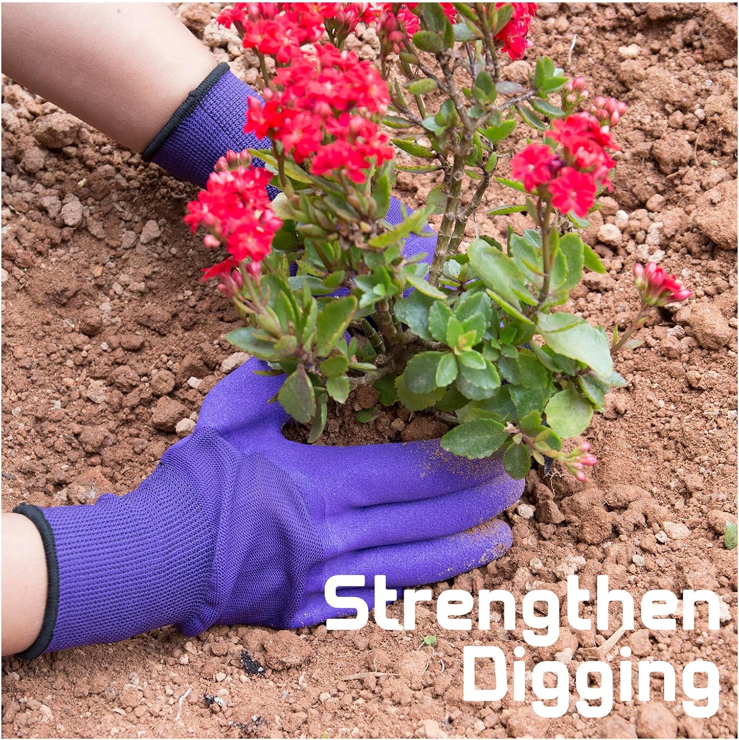Garden Gloves with Claws for Women and Men outdoor Digging Planting Weeding Seed: Clothing