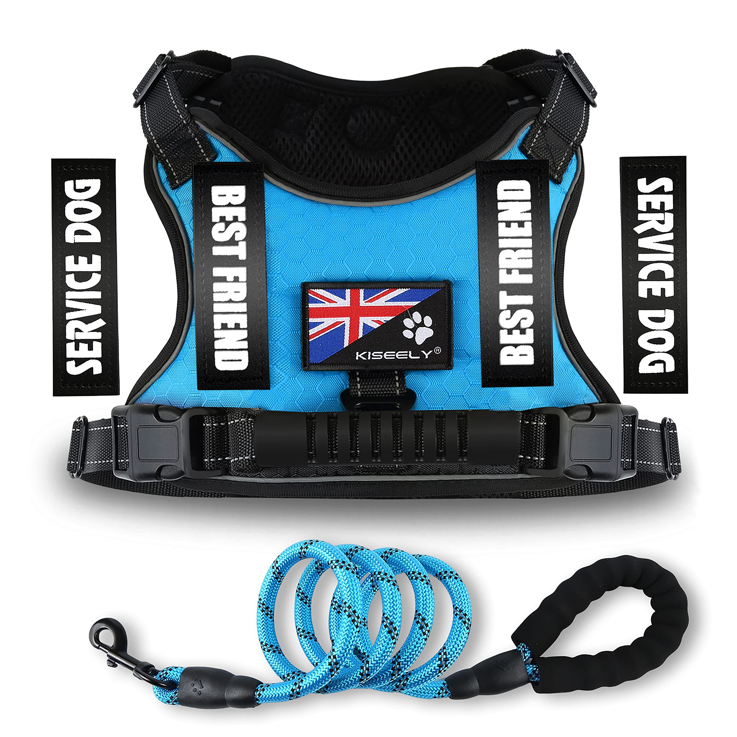 Dog Harness, No Pull Dog Harness with Control Handle & Lead Set, Size Adjustable Pet Vest for Large Medium Small Dog, Soft Padded Harness for Training & Walking (Blue, Large)