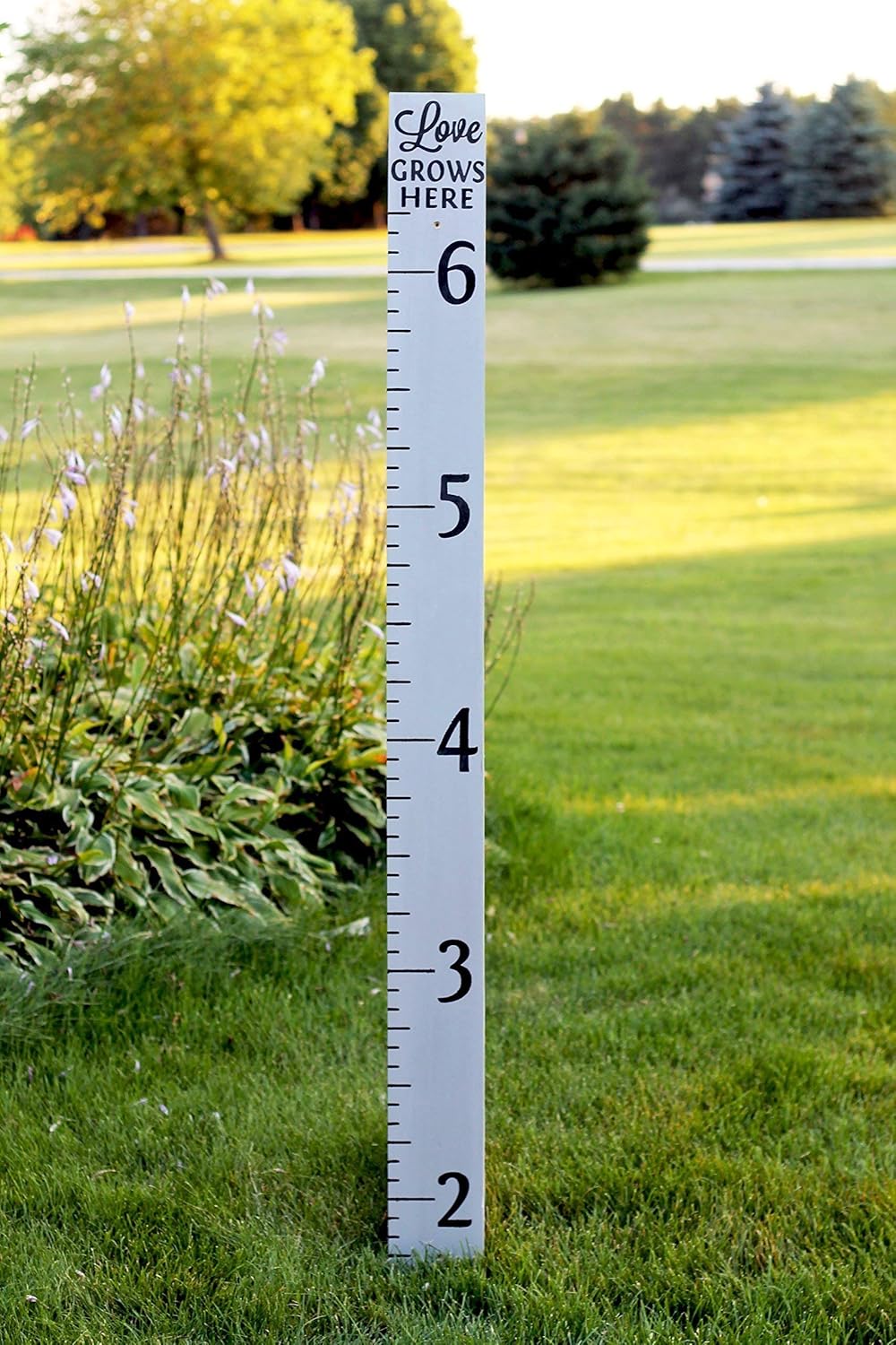 Height Chart for kids room, Growth chart for kids Handmade