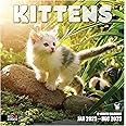 RED EMBER Kittens 2025 Wall Calendar 12 Month | 12" x 24" Open | Thick & Sturdy Paper | Giftable | Calendar 2025