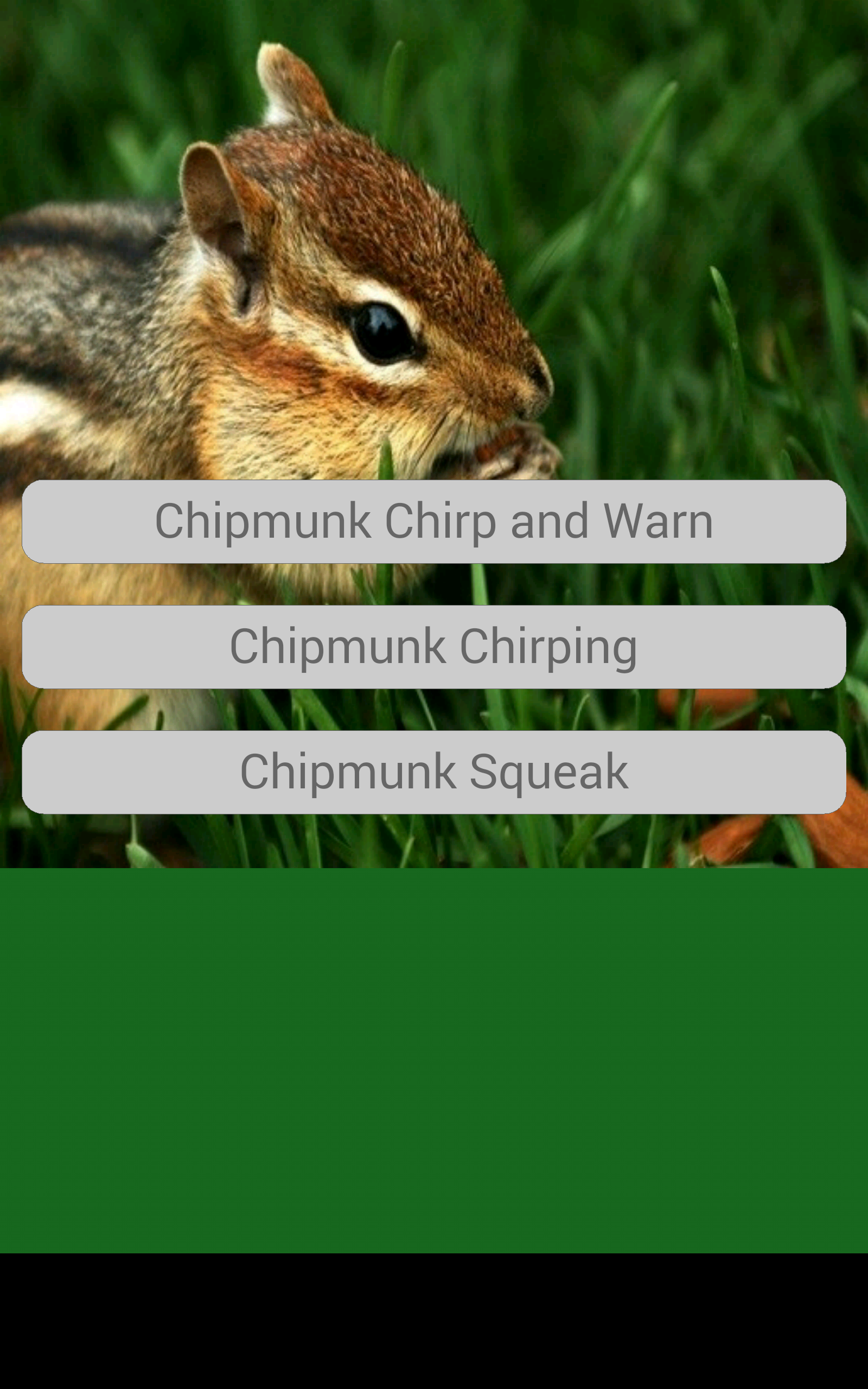 Chipmunk Sounds - //medicalbooks.filipinodoctors.org