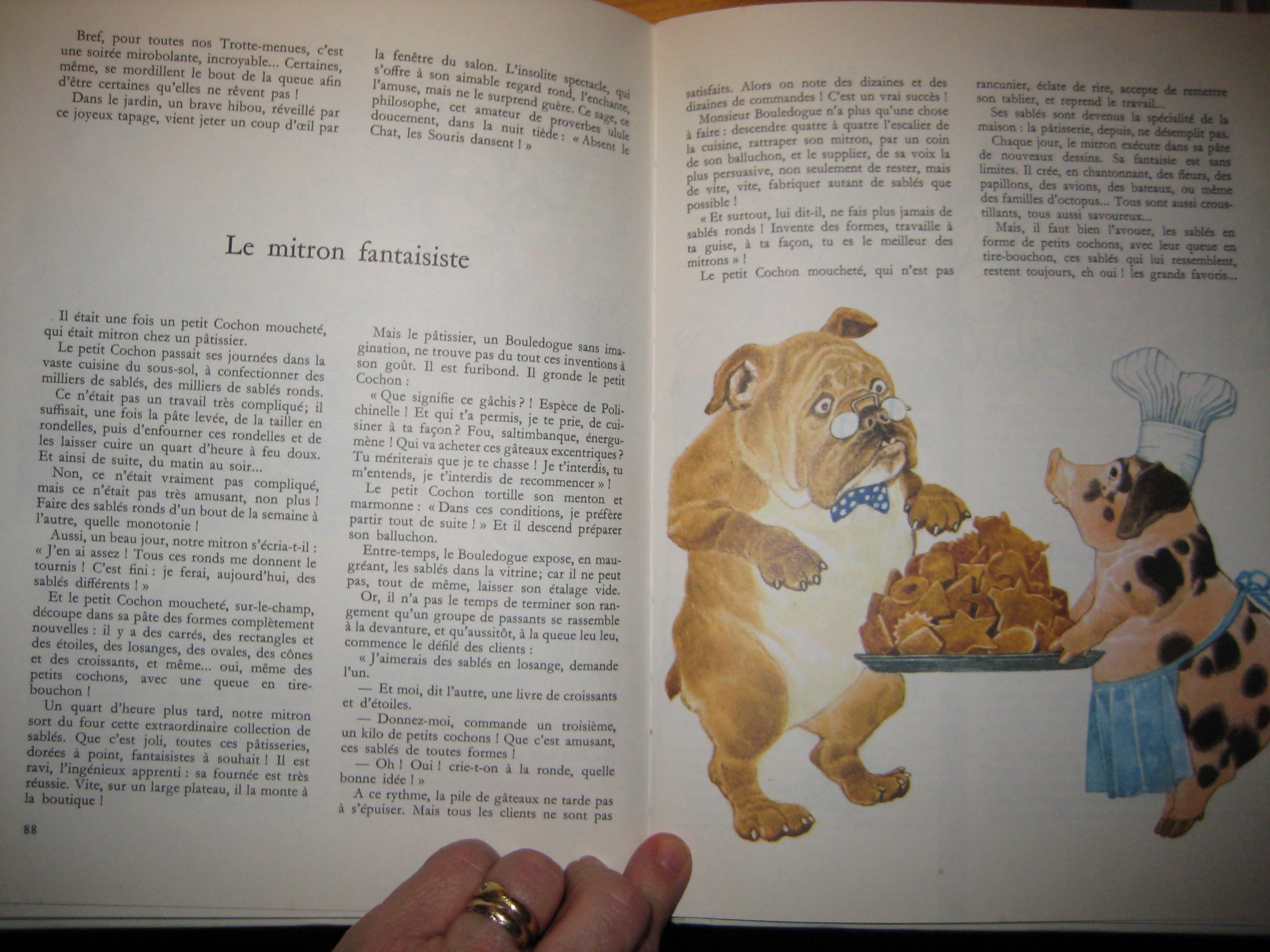101 Nouvelles Histoires D Animaux Un Grand Livre D Or Anne Marie Dalmais Benvenuti Amazon Com Books