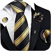 GUSLESON 3.15"(8cm) Striped Tie for Men With Lapel Pin Necktie Hankerchief Cufflinks Set