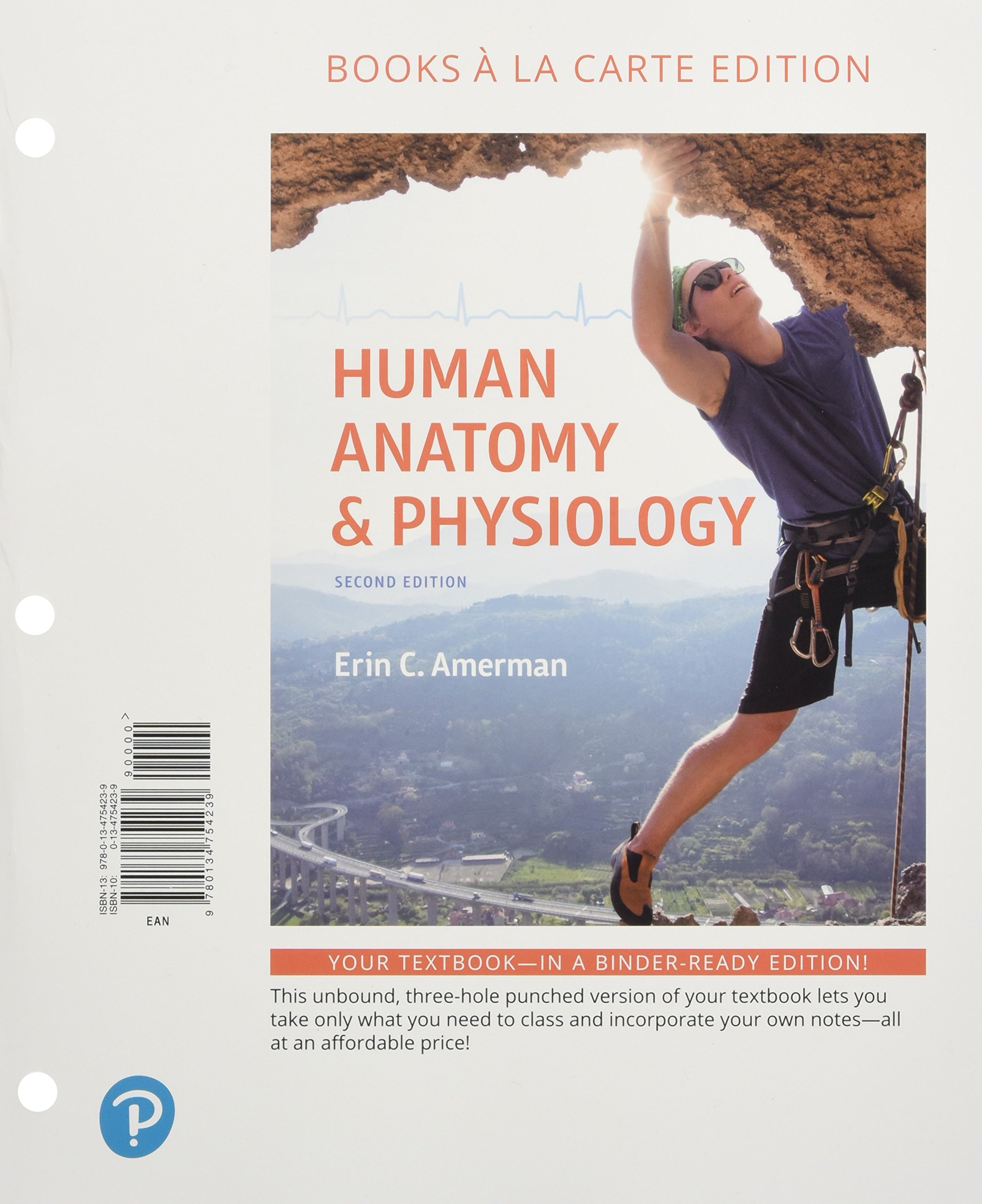 Human Anatomy & Physiology Image